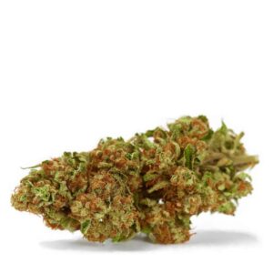 Breadstix THCa