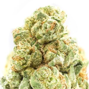 Jack Herer THCa
