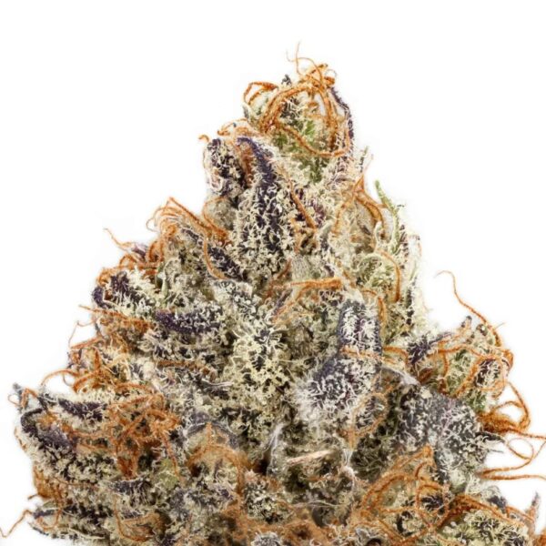 Donny Burger THCa