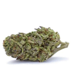 GMO Rootbeer THCa