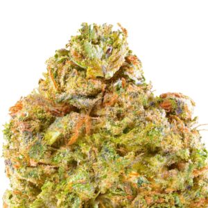 Cali Burger THCa